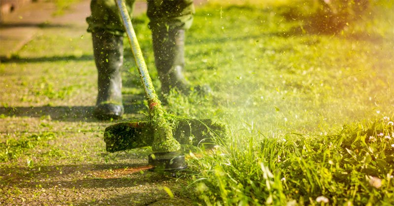 How to Use a String Trimmer